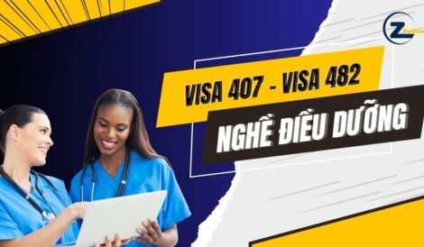 Visa 407 và Visa 482